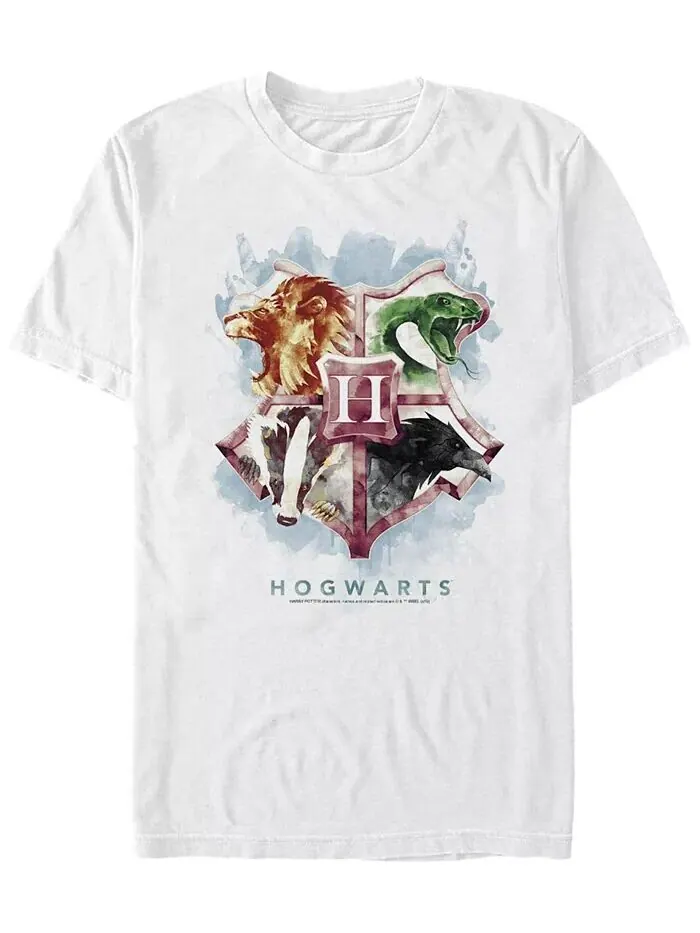 Мужская футболка Hogwarts Mystic Wash с коротким рукавом и круглым вырезом Fifth Sun — изображение 1 из 1, белый