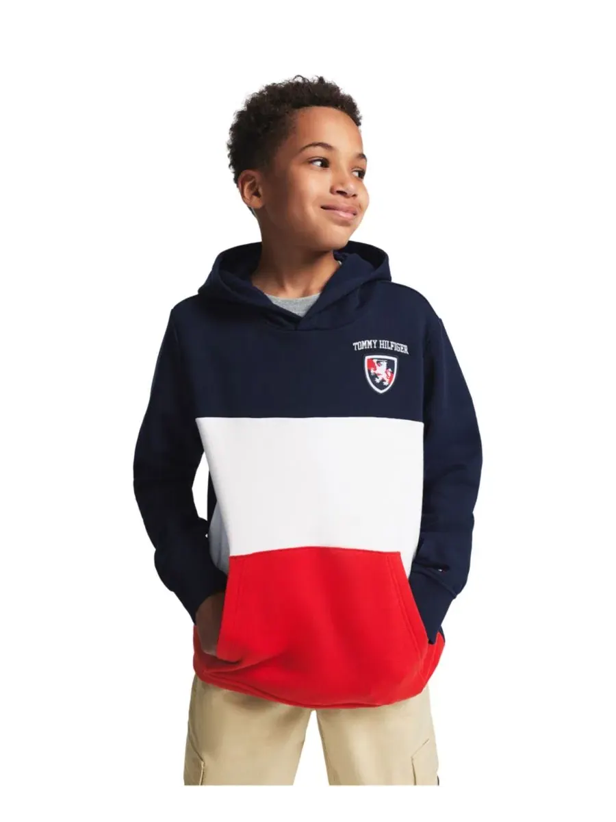 Худи с цветовыми блоками и логотипом Tommy Hilfiger — изображение 1 из 9, темно-синий