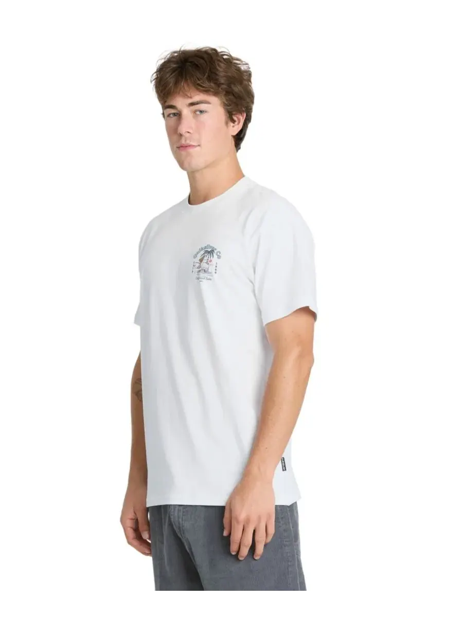 Футболка с принтом Crewneck Graphic Quiksilver — изображение 3 из 4, белый
