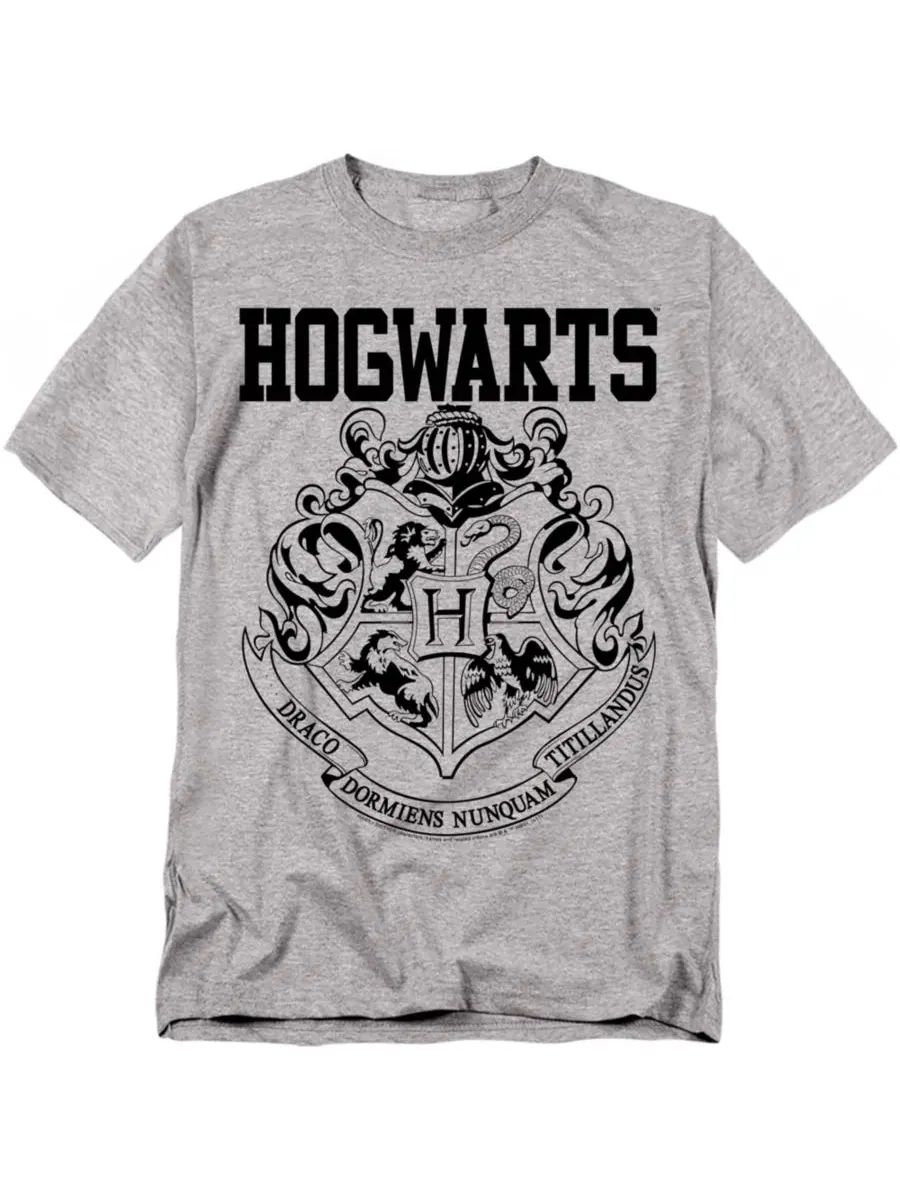 Футболка с длинным рукавом Hogwarts Graphic Athletic Harry Potter — изображение 1 из 3, серый