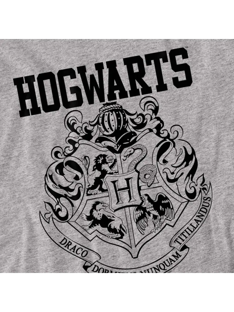 Футболка с длинным рукавом Hogwarts Graphic Athletic Harry Potter — изображение 2 из 3, серый