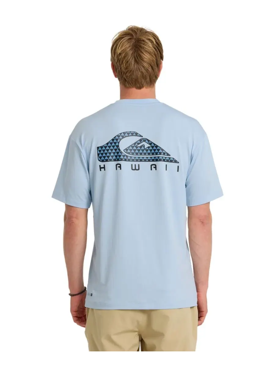 Мужская футболка с коротким рукавом Hi Everyday Surf UPF Quiksilver — изображение 3 из 3, голубой