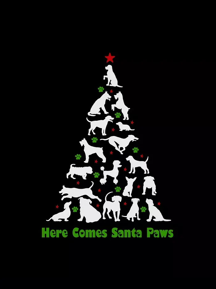Мужская толстовка с капюшоном Here Comes Santa Paws и принтом LA Pop Art — изображение 3 из 3, черный