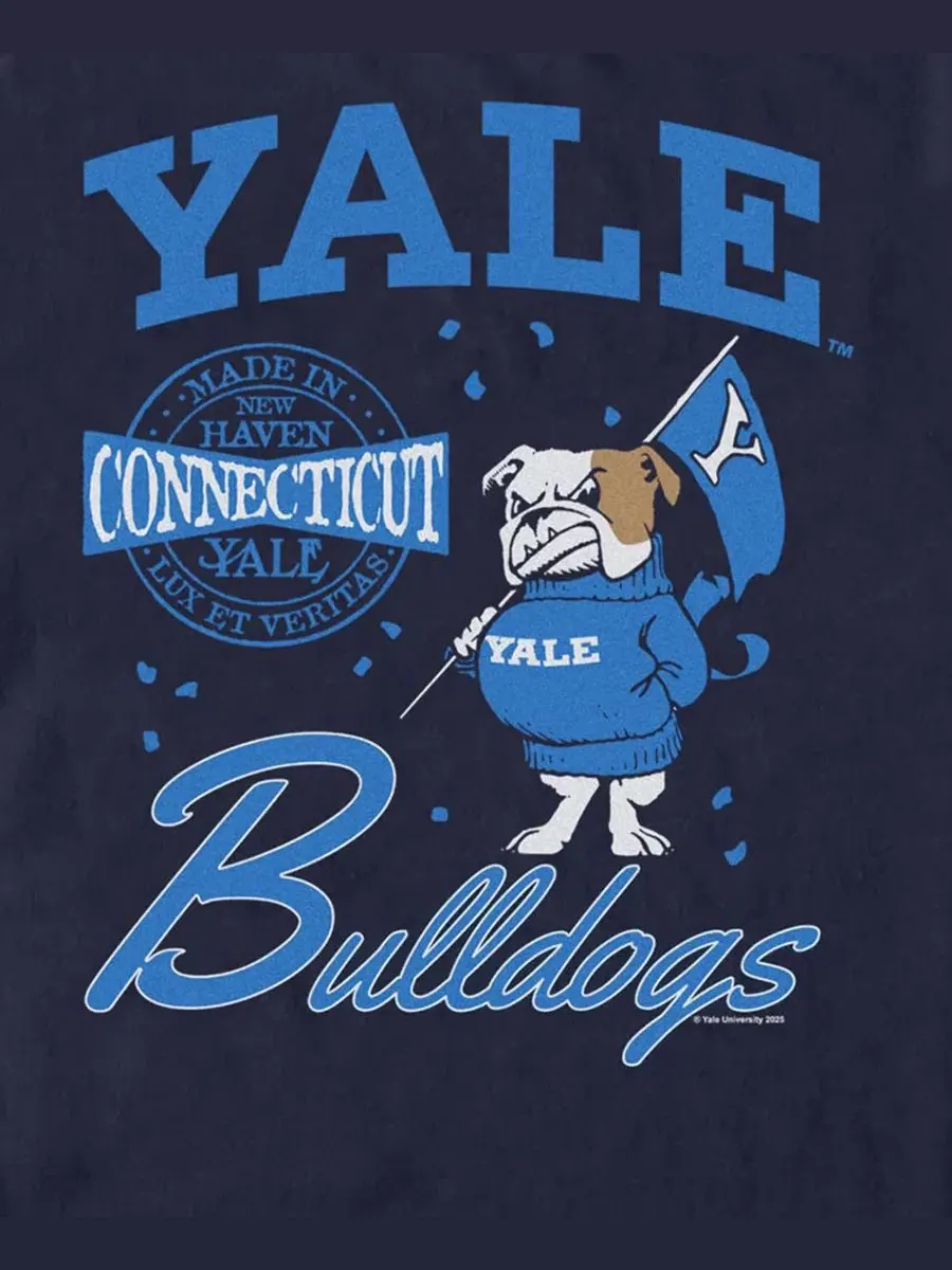 Футболка с графическим принтом Yale Bulldogs Fifth Sun — изображение 3 из 3, темно-синий