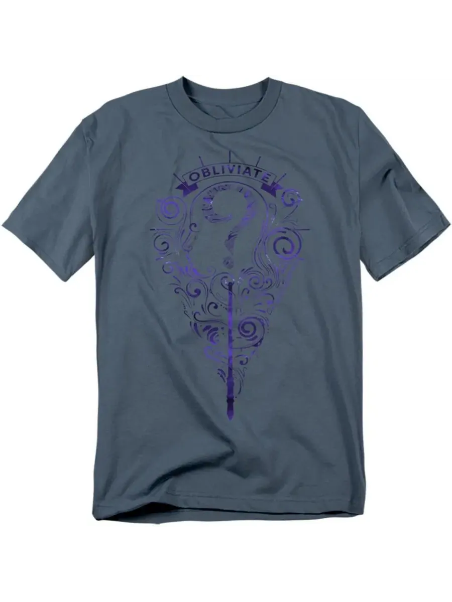 Футболка с принтом Obliviate Intricate Line Art Harry Potter — изображение 1 из 3, серый