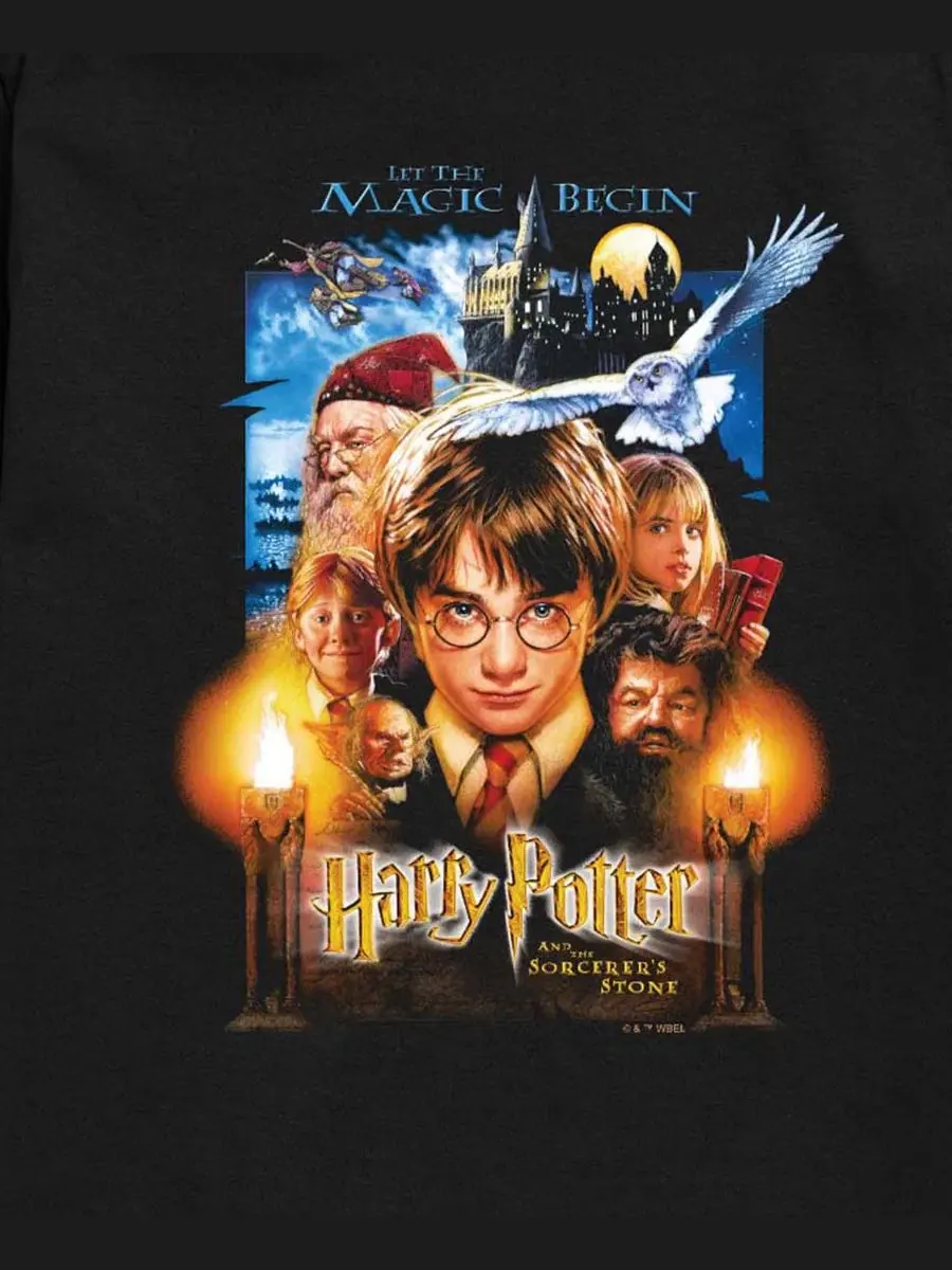 Футболка с графическим принтом для мальчиков 8-20 лет Harry Potter — изображение 3 из 3, черный