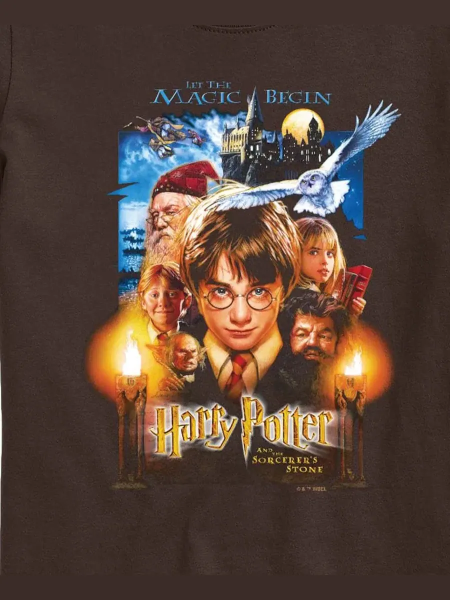 Футболка с графическим принтом для мальчиков 8-20 лет Harry Potter — изображение 3 из 3, коричневый