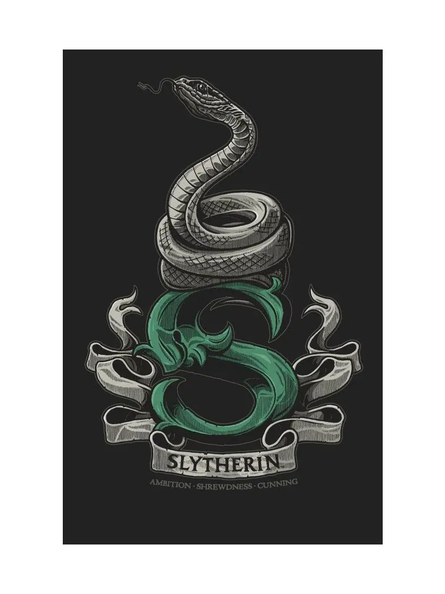 Футболка с принтом Slytherin Snake Harry Potter — изображение 2 из 4, черный