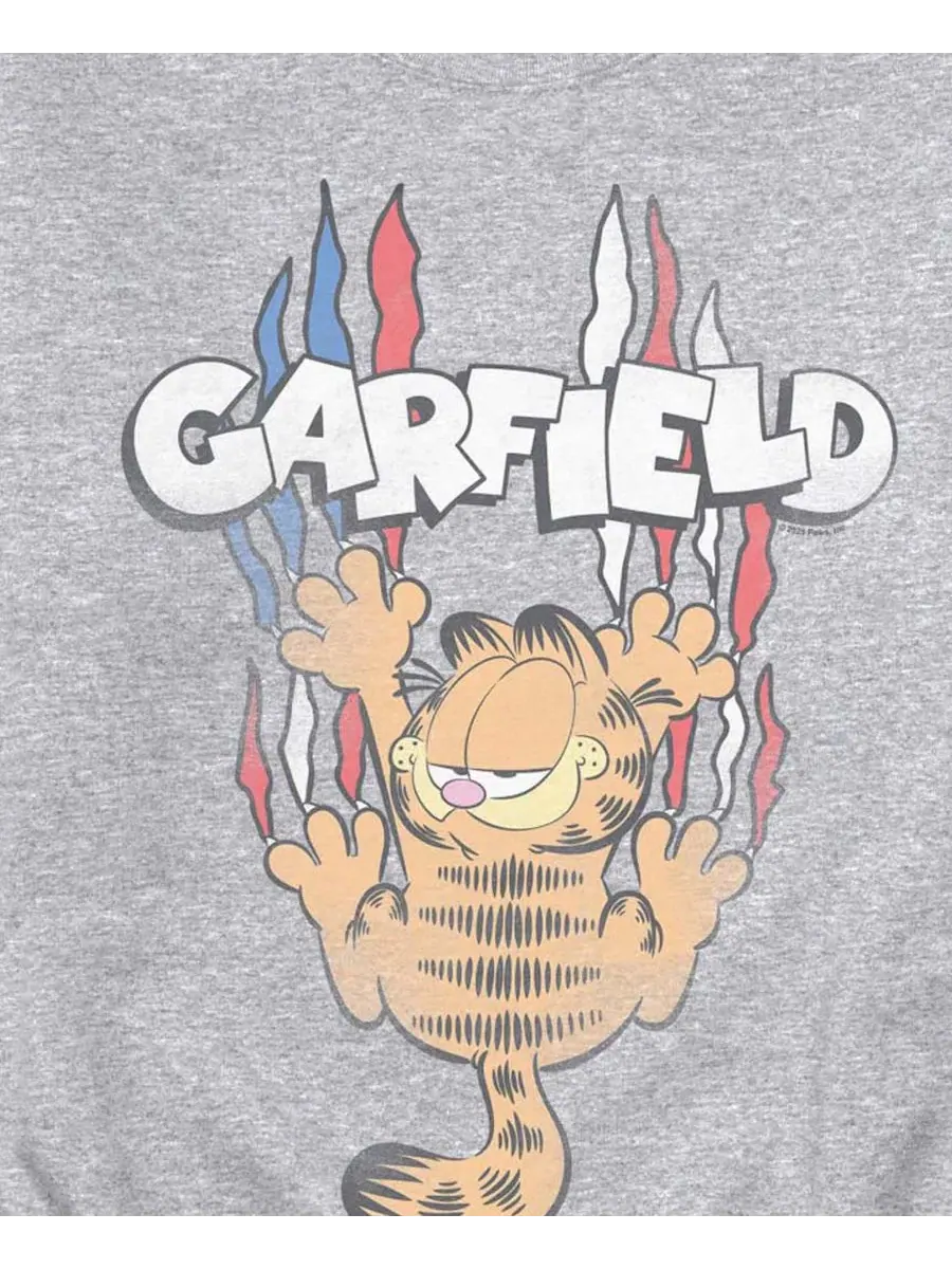 Мужская флисовая толстовка Garfield Americana в тон, с эффектом потертости Airwaves — изображение 3 из 3, приглушенный