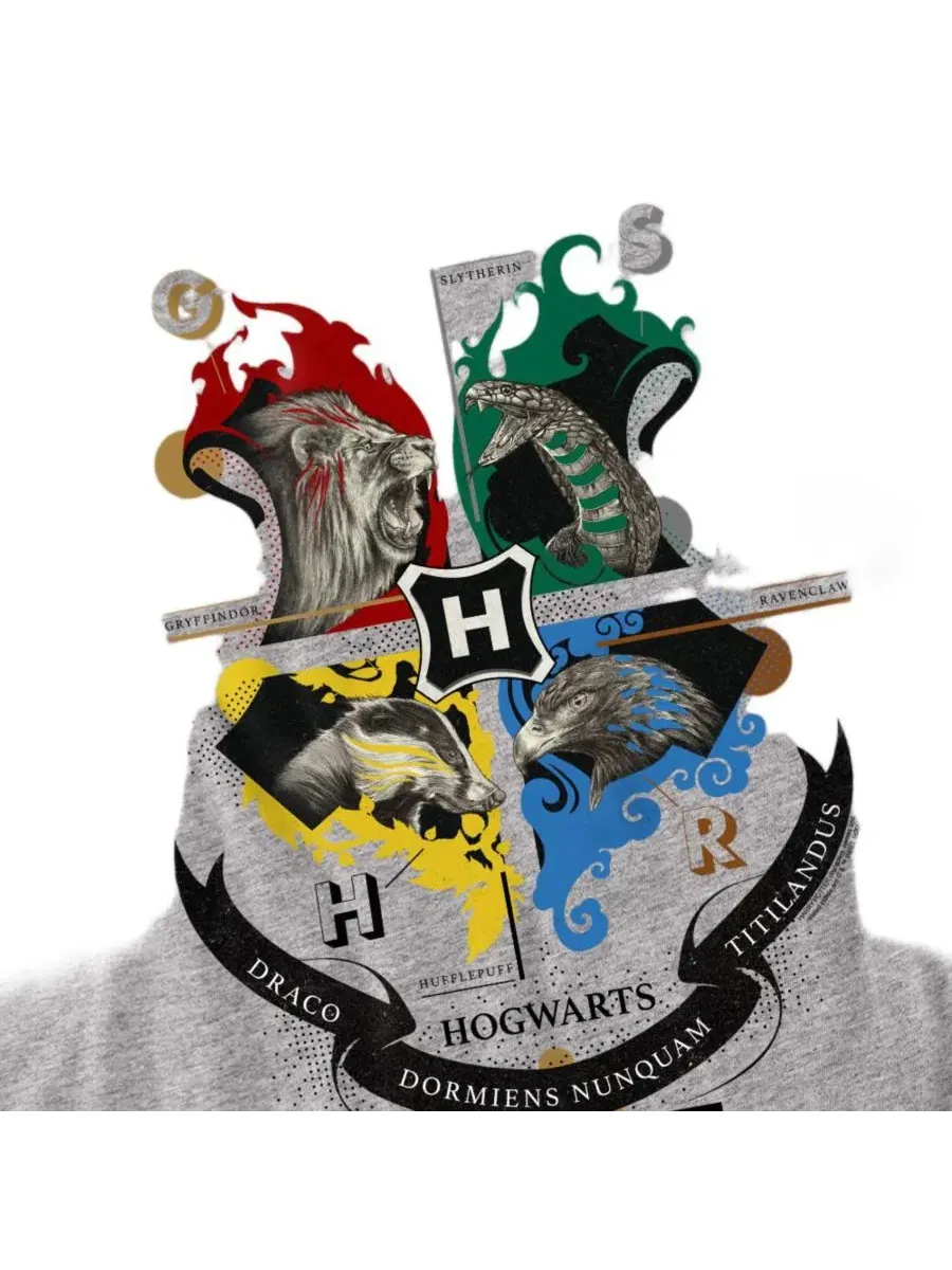 Мужская футболка с принтом Hogwarts Magicial Mischief Level Up Crest Harry Potter — изображение 2 из 3, приглушенный