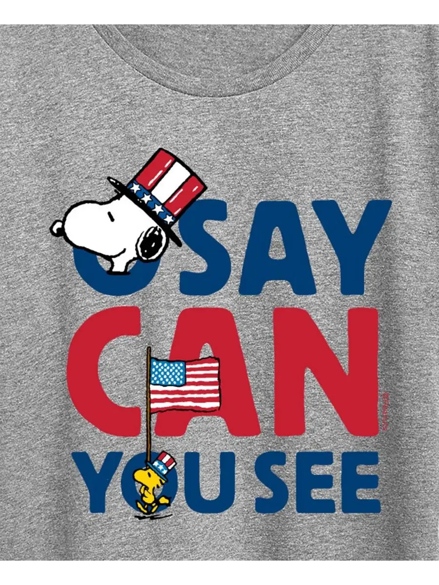 Футболка с принтом Snoopy Say Can You See Hybrid Apparel — изображение 2 из 3, серый