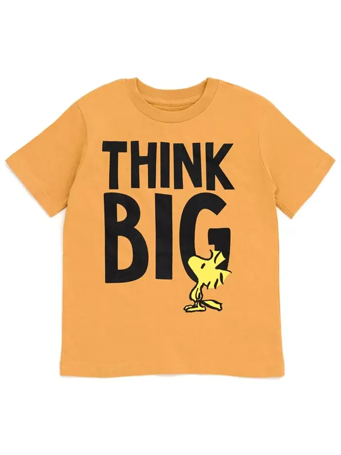 Мальчиковые футболки Woodstock Snoopy Charlie Brown, 3 штуки Peanuts — изображение 7 из 7, зеленый