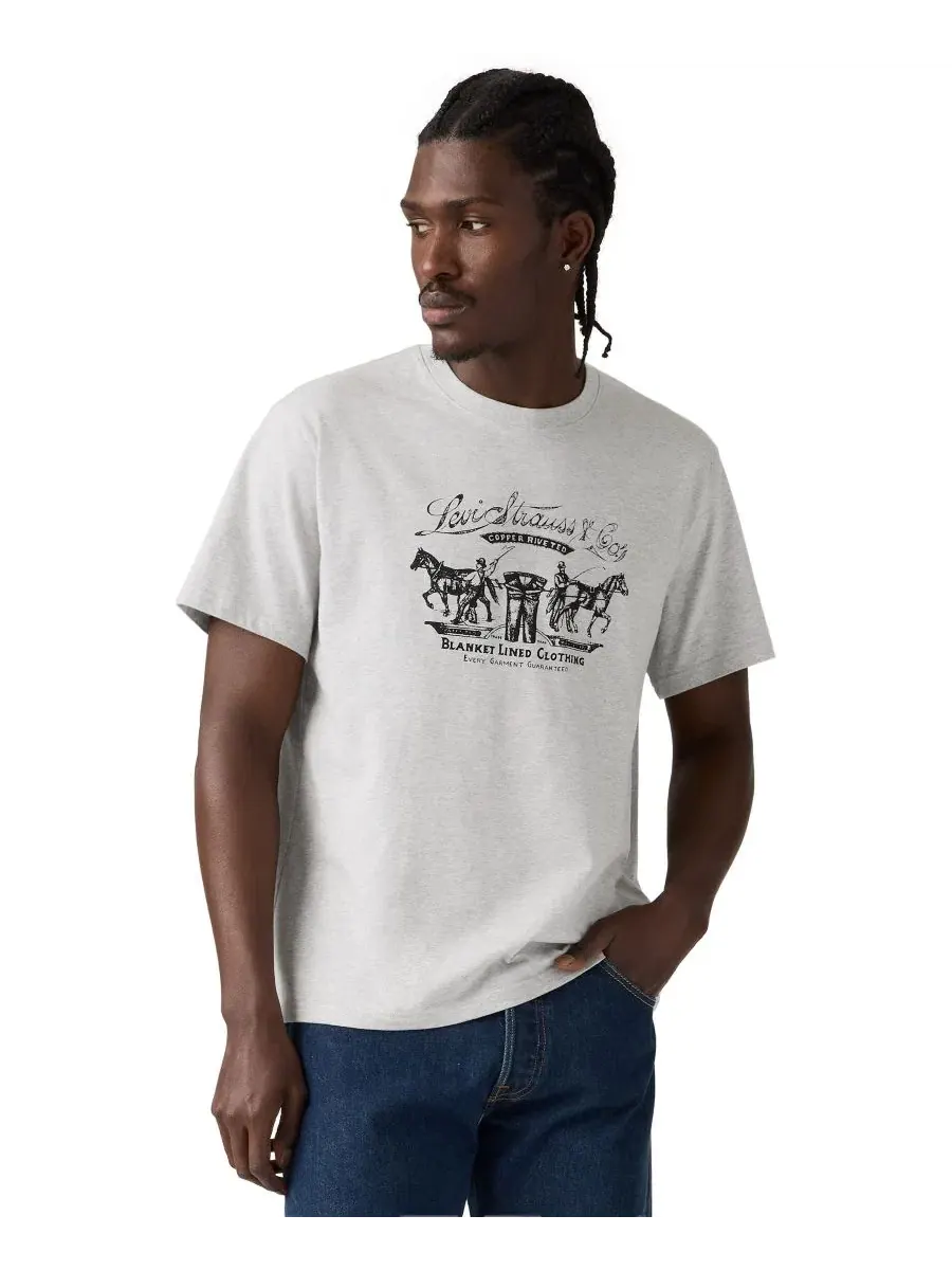 Футболка с коротким рукавом и принтом Signature Graphic Levi's — изображение 1 из 5, серый