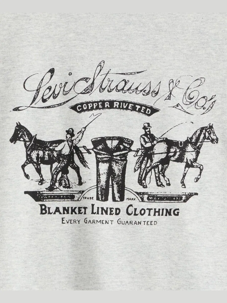 Футболка с коротким рукавом и принтом Signature Graphic Levi's — изображение 5 из 5, серый