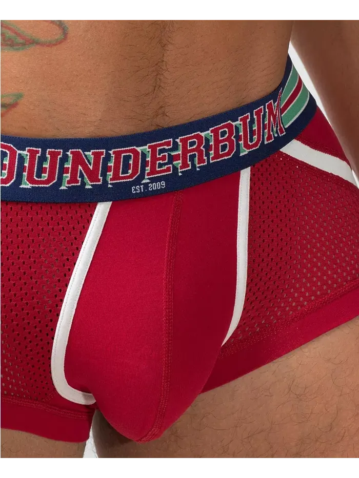 Мужские трусы VARSITY Anatomic Mini Trunk Rounderbum — изображение 5 из 5, красный
