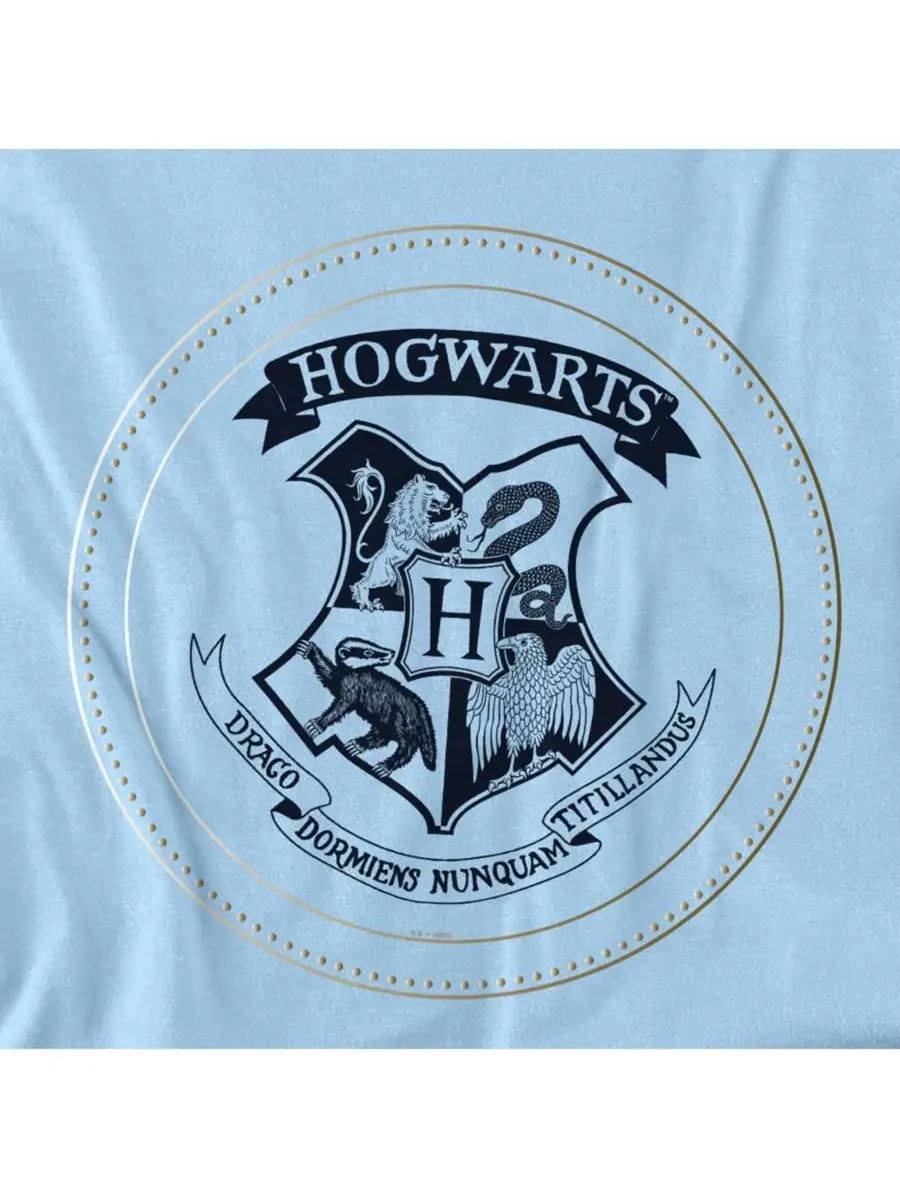 Мужская футболка с изображением эмблемы Хогвартса Harry Potter — изображение 3 из 3, светлый синий