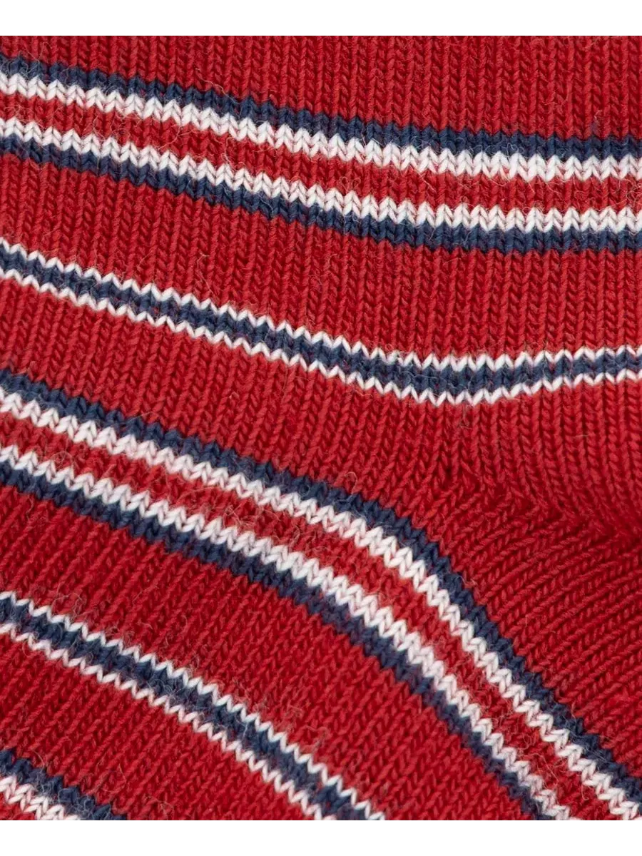 Комплект носков с принтом Vintage Truck Polo Ralph Lauren — изображение 3 из 3, темно-синий