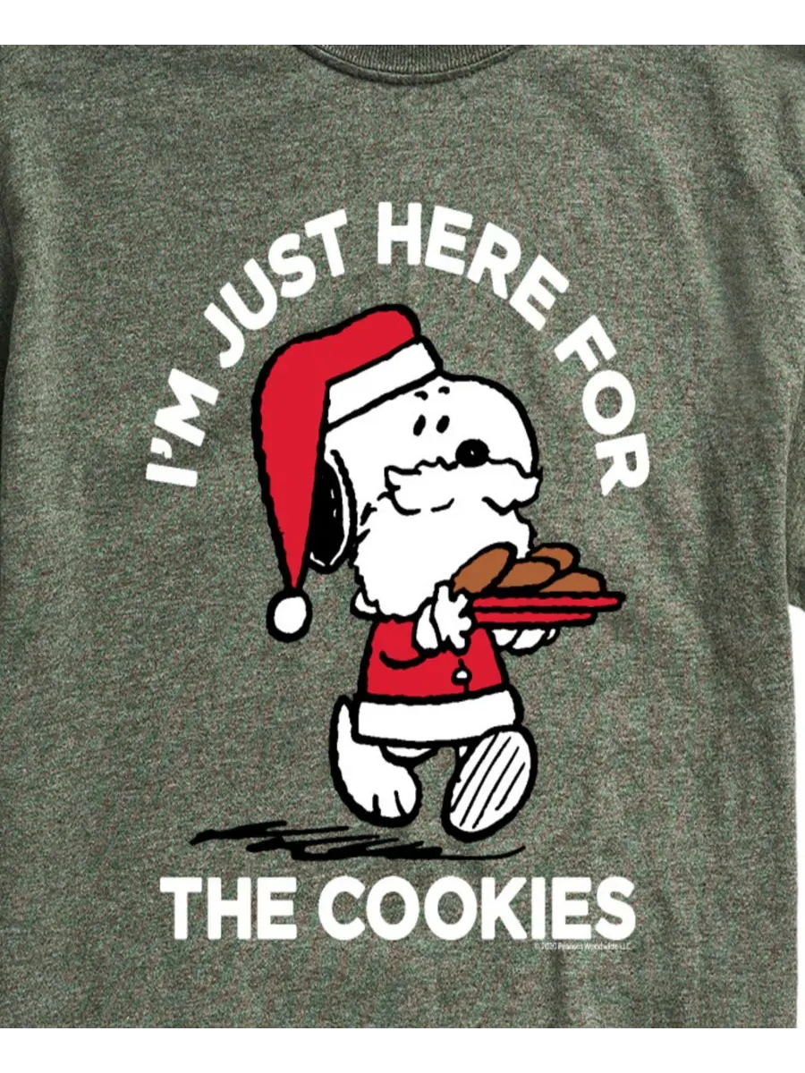 Мужская футболка с коротким рукавом Peanuts Santa Snoopy I'M Just Here for the Cookies AIRWAVES — изображение 3 из 3, зеленый