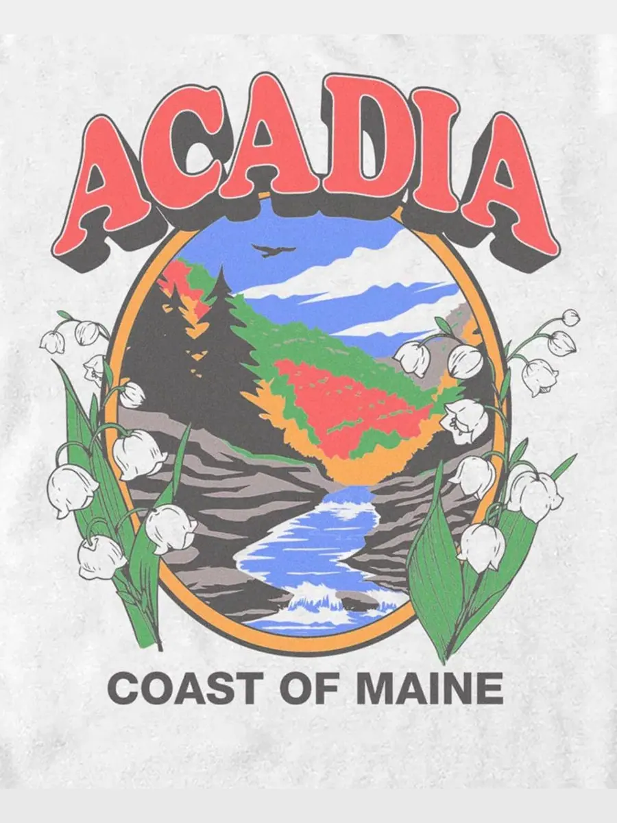 Футболка с принтом Coastal Maine Fifth Sun — изображение 3 из 3, белый