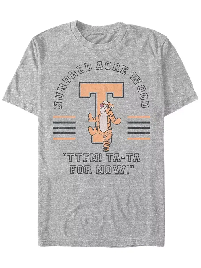 Мужская футболка с коротким рукавом Tigger Collegiate Fifth Sun — изображение 1 из 1, серый