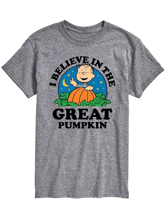 Мужская футболка Peanuts Great Pumpkin AIRWAVES — изображение 1 из 2, серый
