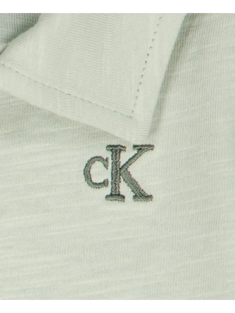 Детский боди-поло и шорты для мальчика, комплект из 2 предметов Calvin Klein — изображение 4 из 5, бледный