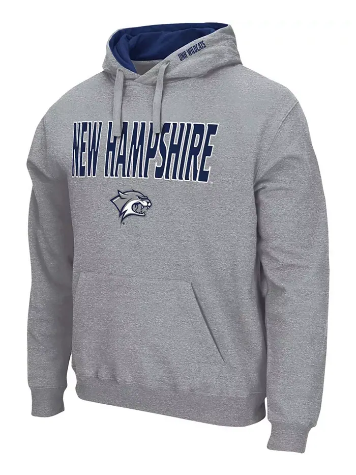 Мужская толстовка с капюшоном New Hampshire Wildcats с аркой и логотипом Colosseum — изображение 2 из 3, серый