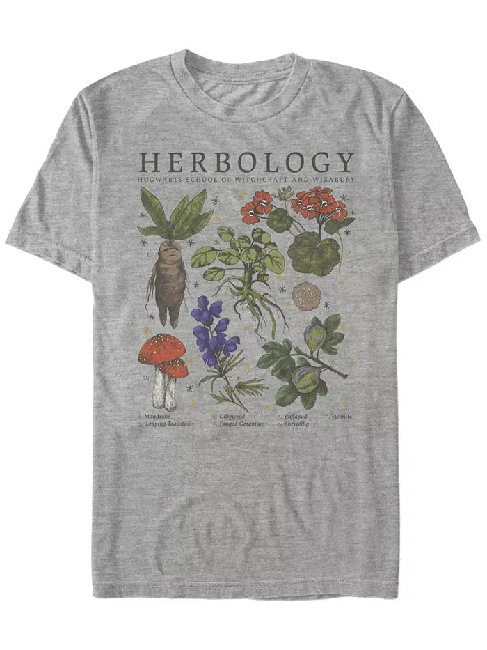 Мужская футболка с коротким рукавом Herbology Fifth Sun — изображение 1 из 1, приглушенный