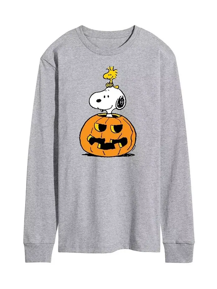 Мужская футболка Peanuts Snoopy Pumpkin AIRWAVES — изображение 1 из 2, серый