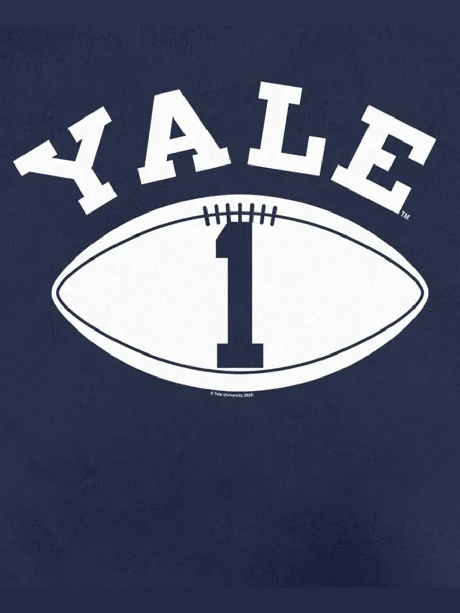 Свитшот с графическим принтом Yale Football Logo Fifth Sun — изображение 3 из 3, темно-синий