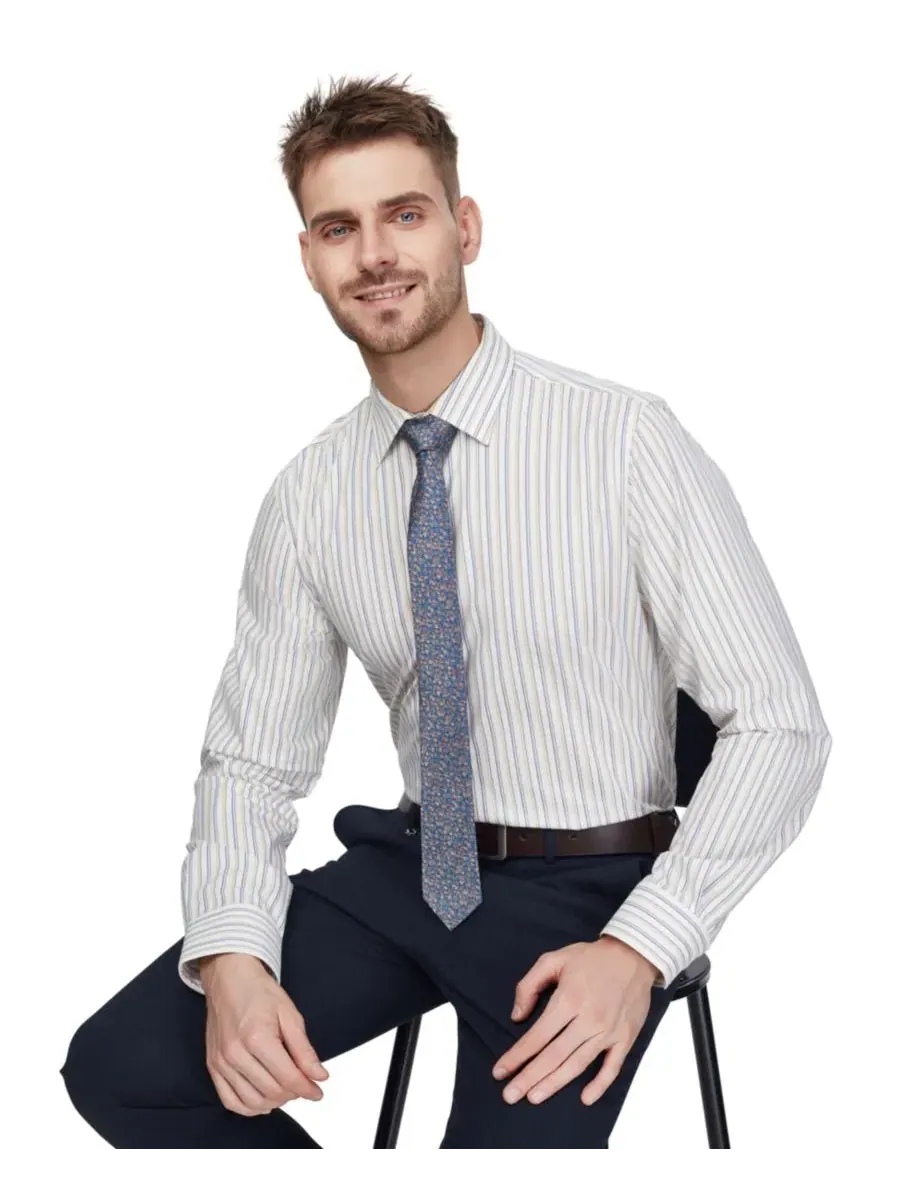 Мужская рубашка с принтом в полоску, slim fit, с отложным воротником и закругленными манжетами Bar — изображение 7 из 8
