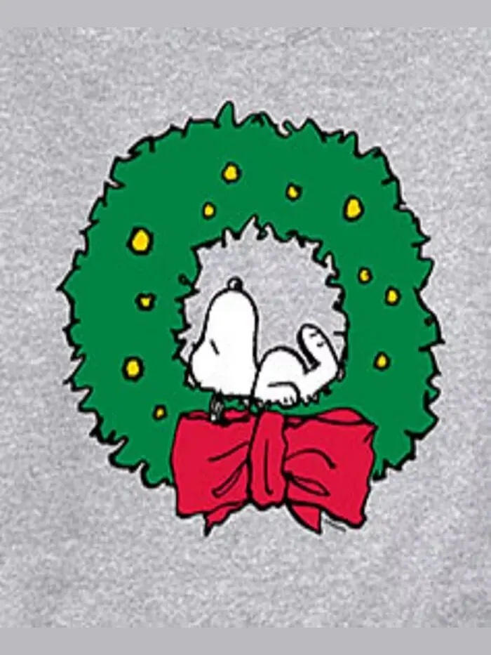 Мужская флисовая кофта с длинным рукавом Peanuts Snoopy Wreath AIRWAVES — изображение 3 из 3, серый