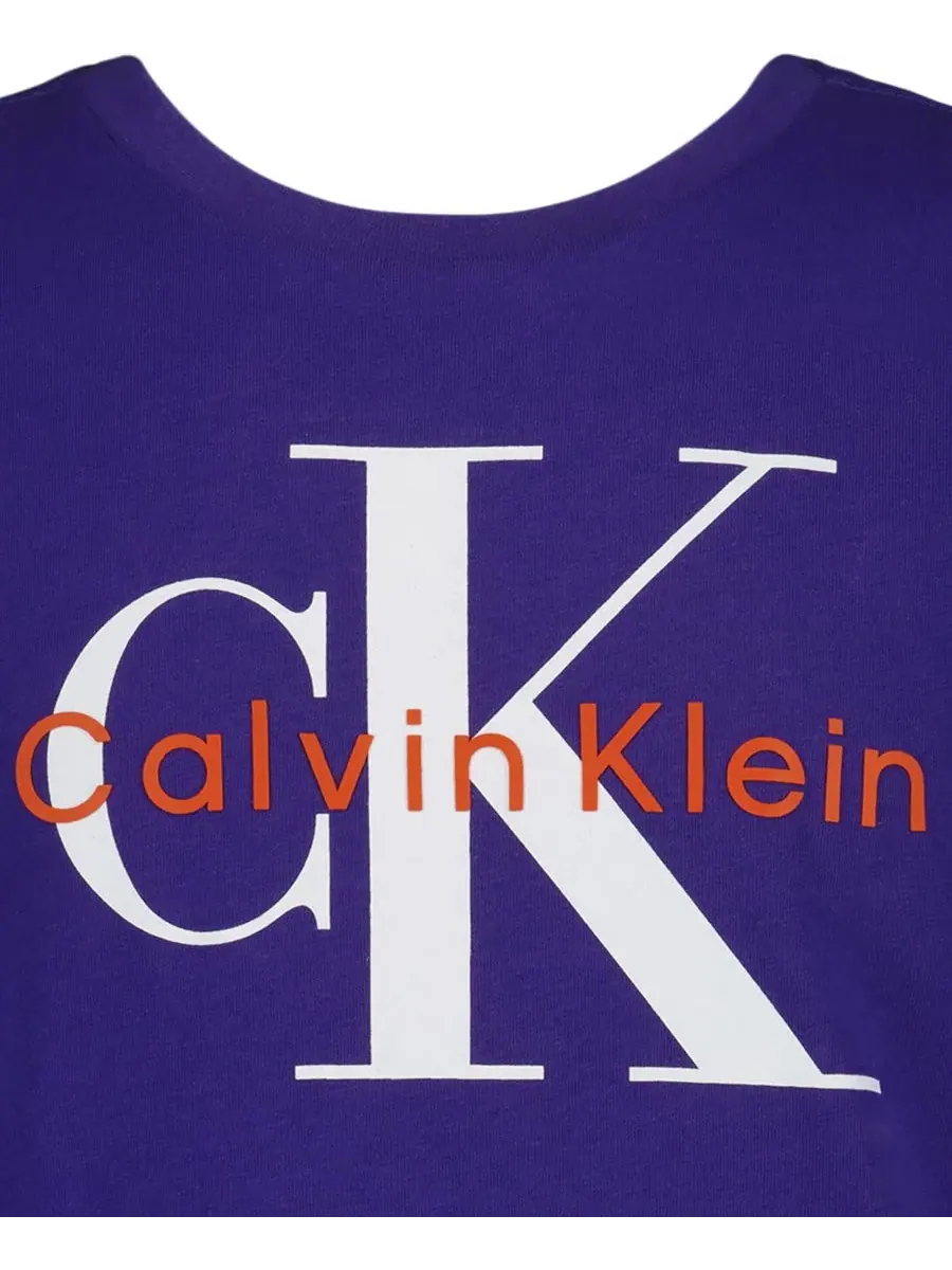 Детская футболка с круглым вырезом и монологом (8-20 лет) Calvin Klein — изображение 4 из 5, синий