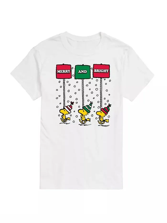 Мужская футболка Peanuts Merry and Bright с коротким рукавом AIRWAVES — изображение 1 из 3, белый