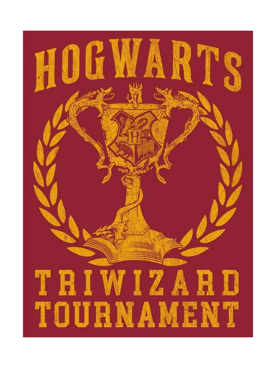 Футболка мужская с принтом Triwizard Tournament Harry Potter — изображение 2 из 6, красный