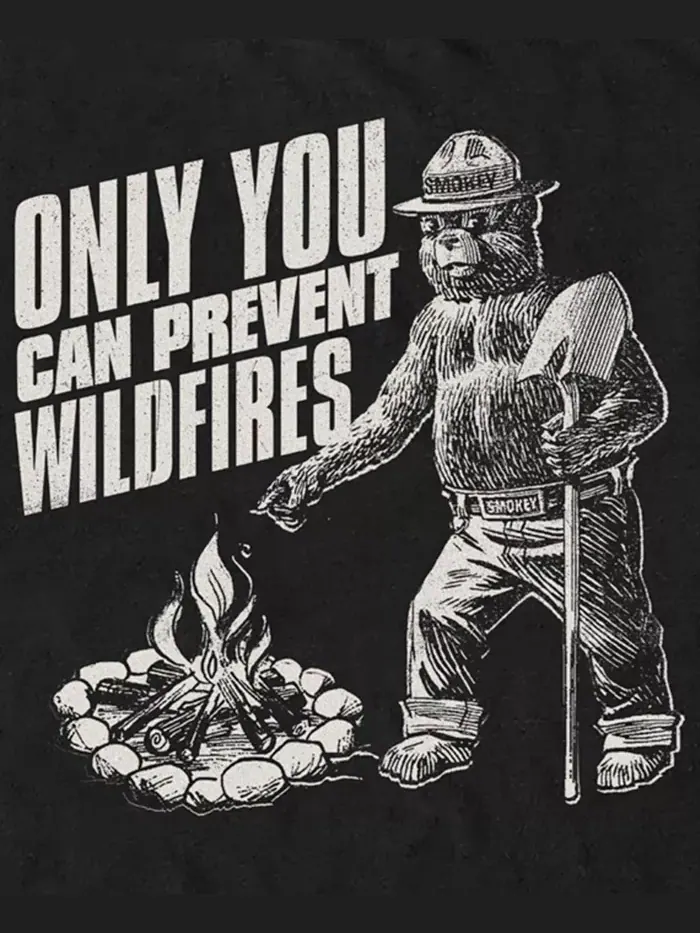 Мужская футболка с коротким рукавом Prevent Wildfires Point Fifth Sun — изображение 3 из 3, черный
