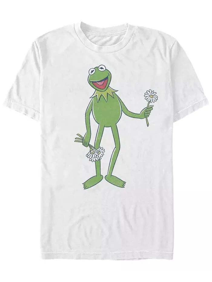 Футболка мужская Big Kermit с коротким рукавом Fifth Sun — изображение 1 из 1, белый