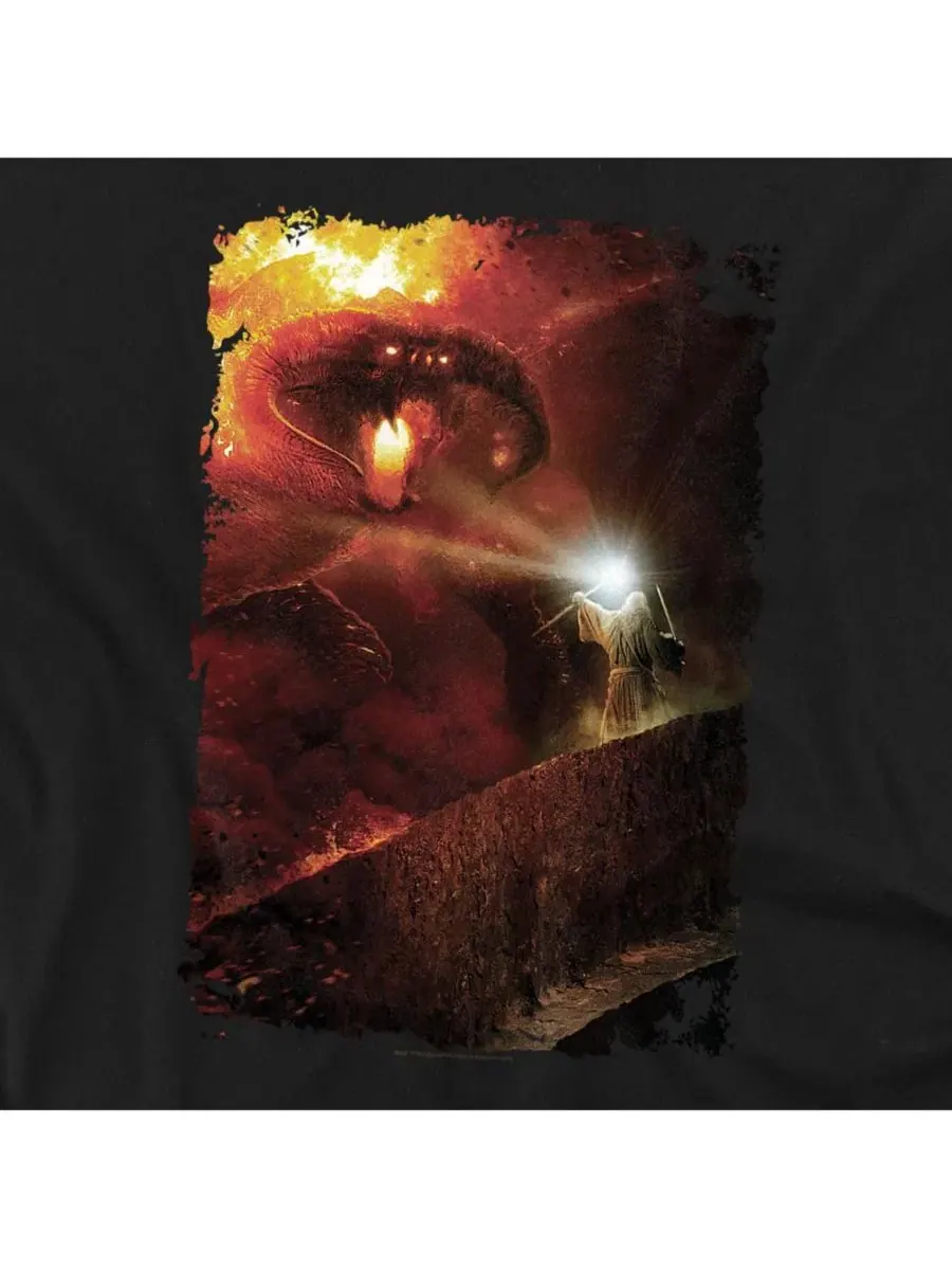 Футболка с принтом The Balrog You Shall Not Pass Lord Of The Rings — изображение 2 из 3, черный