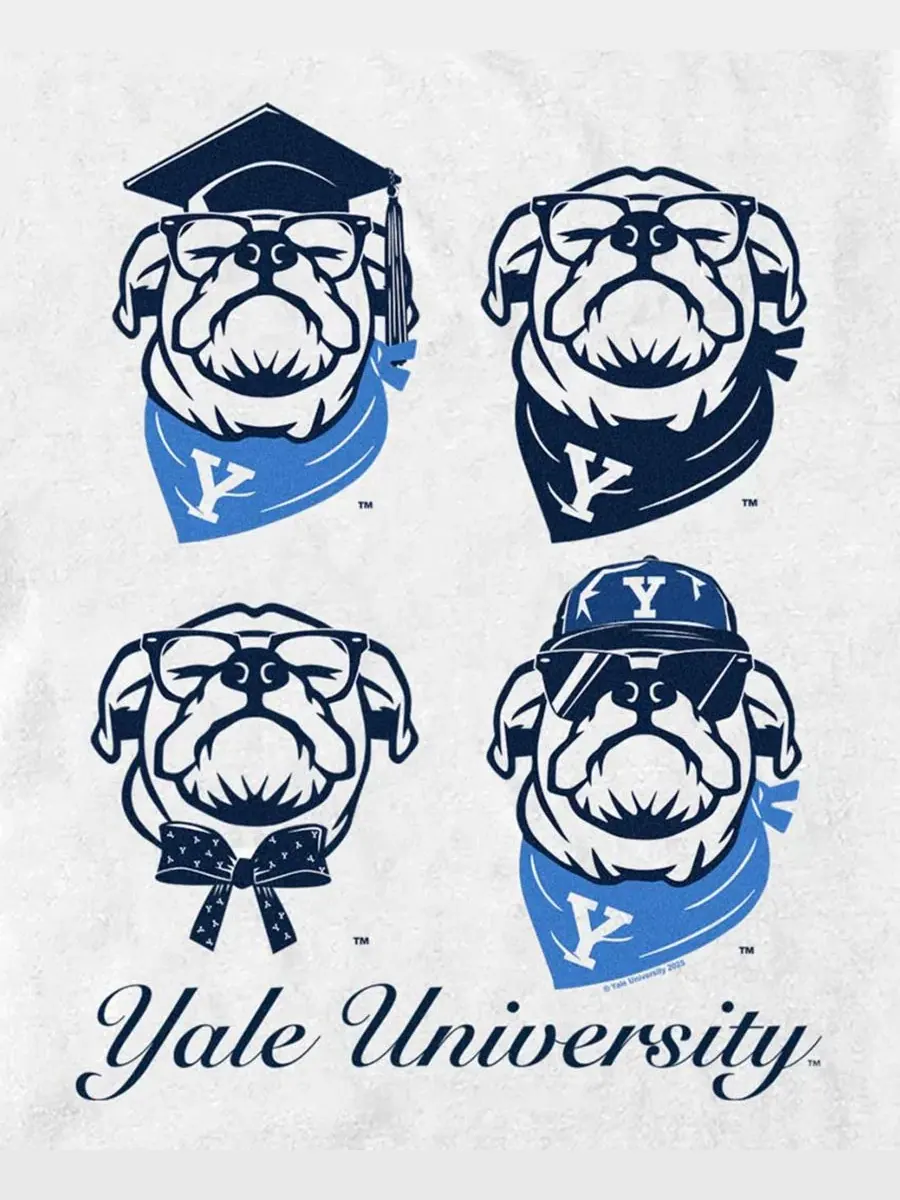Футболка с принтом Yale Bulldogs Pop Art Fifth Sun — изображение 3 из 3, белый