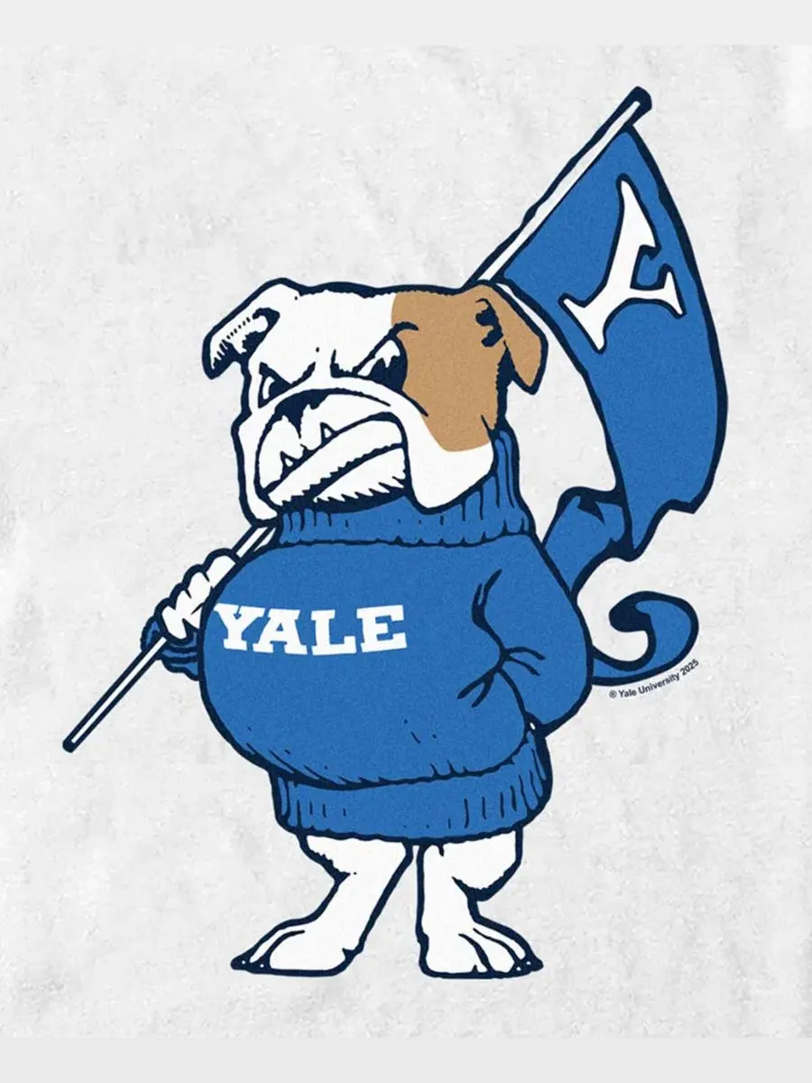 Футболка с графическим принтом Yale Flag, Bulldogs Fifth Sun — изображение 3 из 3, белый