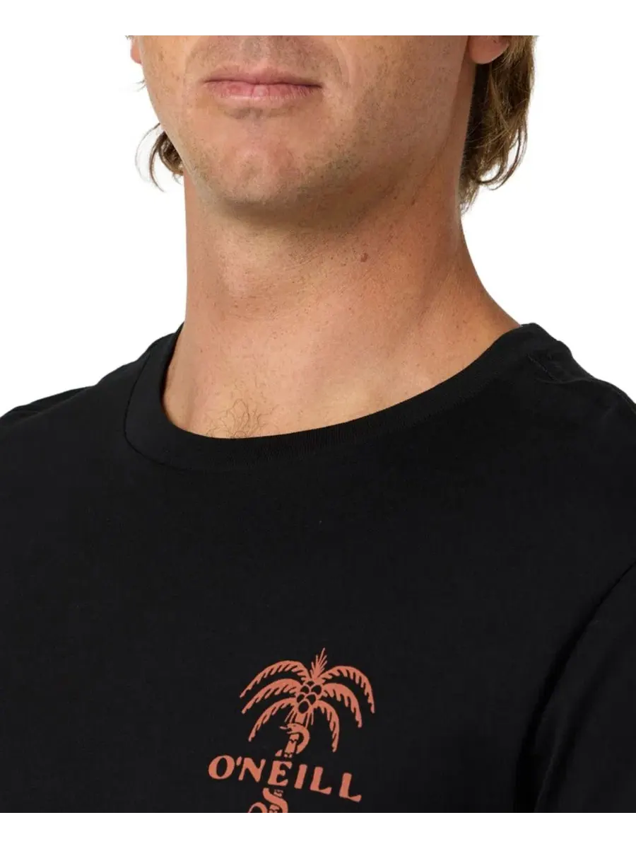 Мужская футболка с коротким рукавом и круглым вырезом Surf Supply O'Neill — изображение 4 из 4, черный