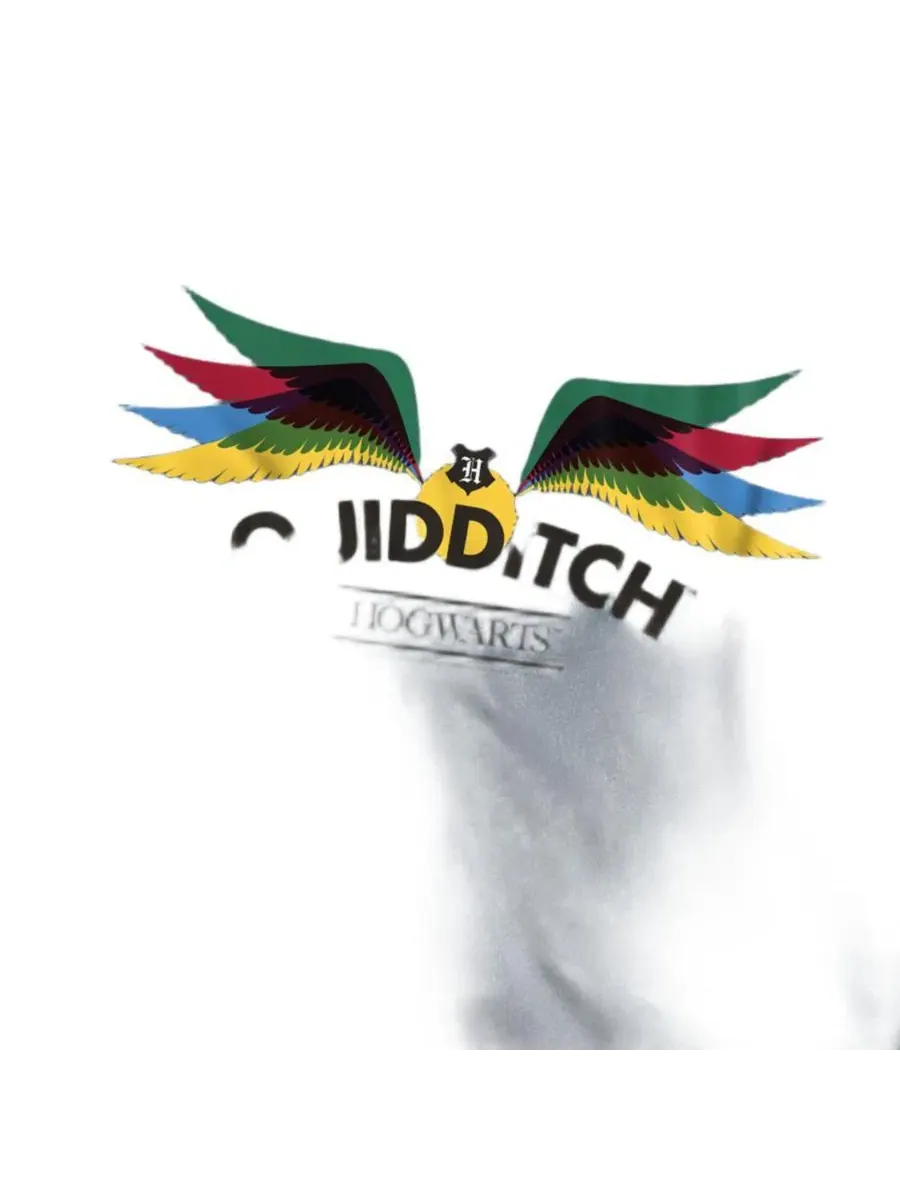 Футболка с принтом Hogwarts Quidditch Harry Potter — изображение 2 из 3, серый