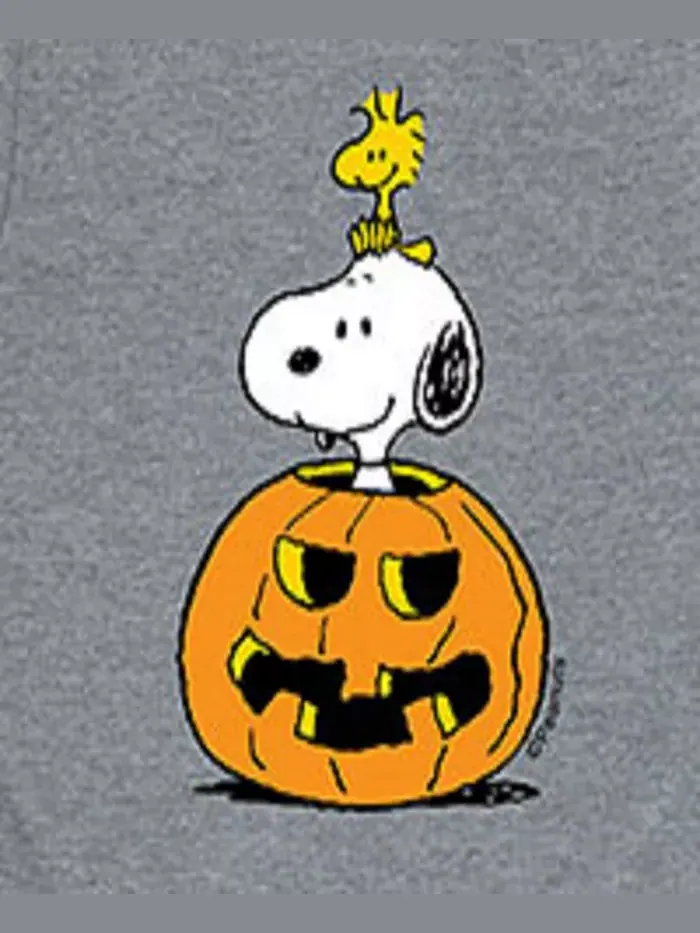 Футболка с принтом "Тыква и Снупи" для мальчиков старшего возраста Peanuts — изображение 3 из 3, серый
