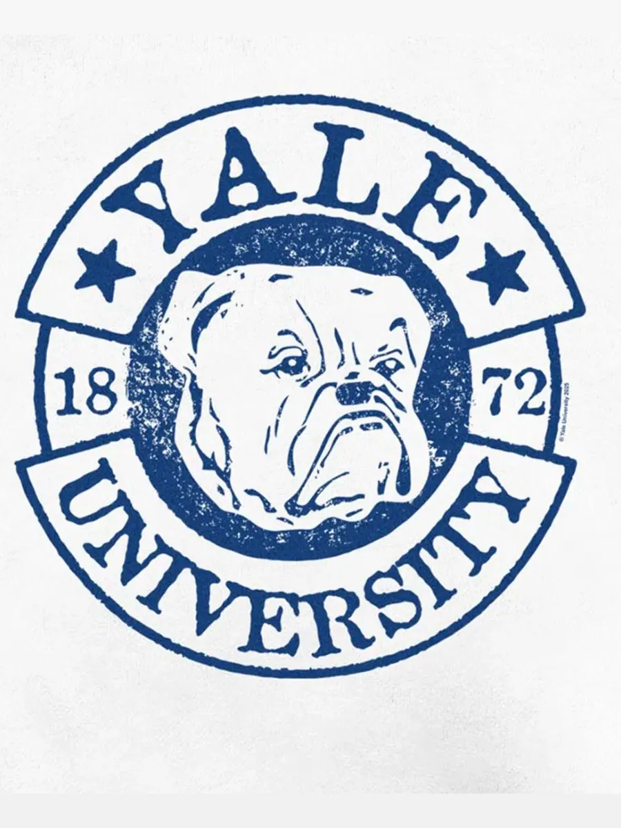 Свитшот с графическим принтом и круглым вырезом Yale University Fifth Sun — изображение 3 из 3, белый