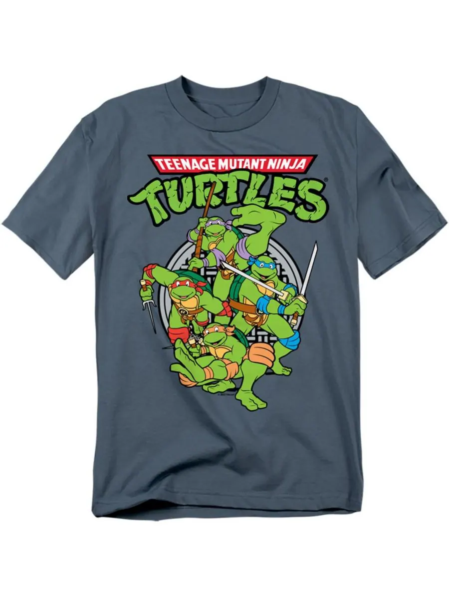 Мужская футболка с изображением группы Черепашек-ниндзя TEENAGE MUTANT NINJA TURTLES — изображение 1 из 3, серый