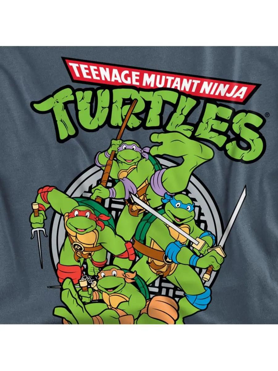Мужская футболка с изображением группы Черепашек-ниндзя TEENAGE MUTANT NINJA TURTLES — изображение 2 из 3, серый