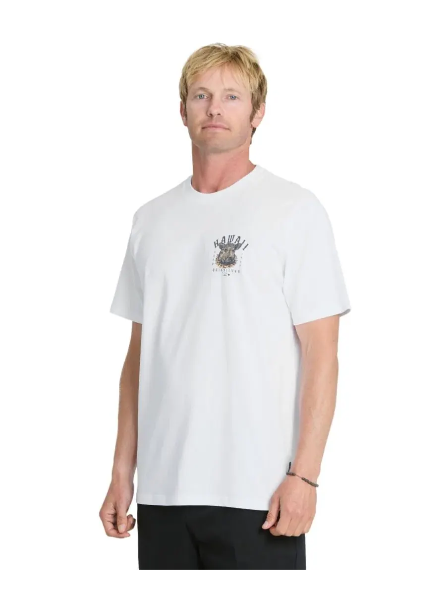 Футболка с принтом Quiksilver — изображение 3 из 4, белый