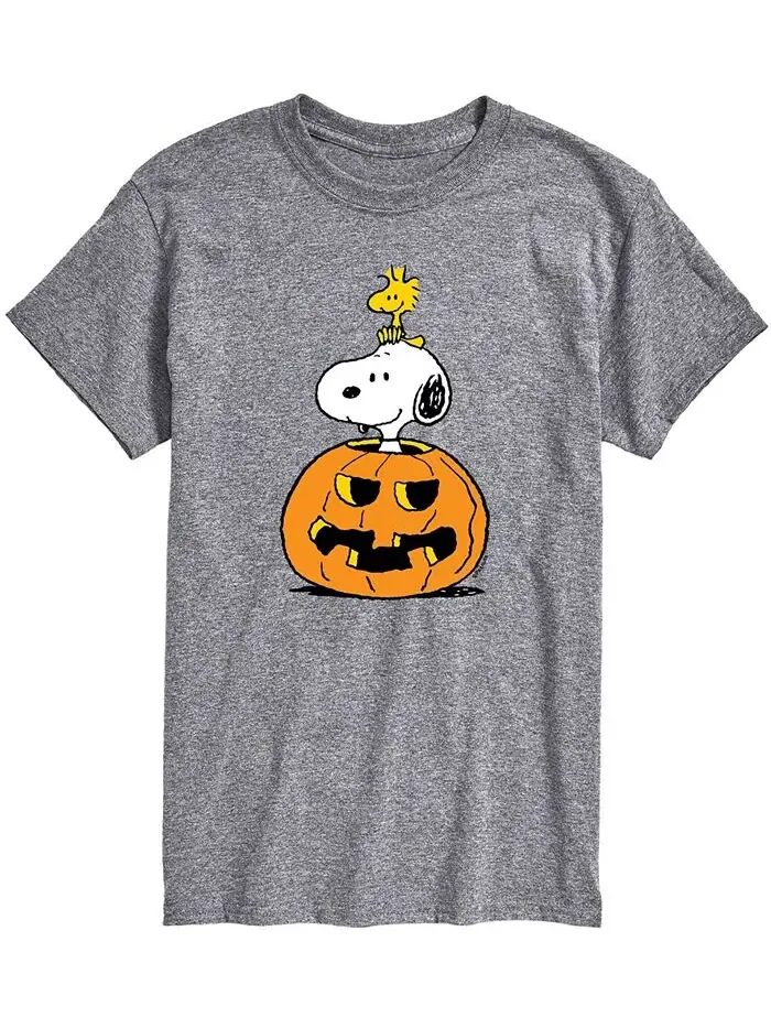 Мужская футболка Peanuts Snoopy Pumpkin AIRWAVES — изображение 1 из 2, серый