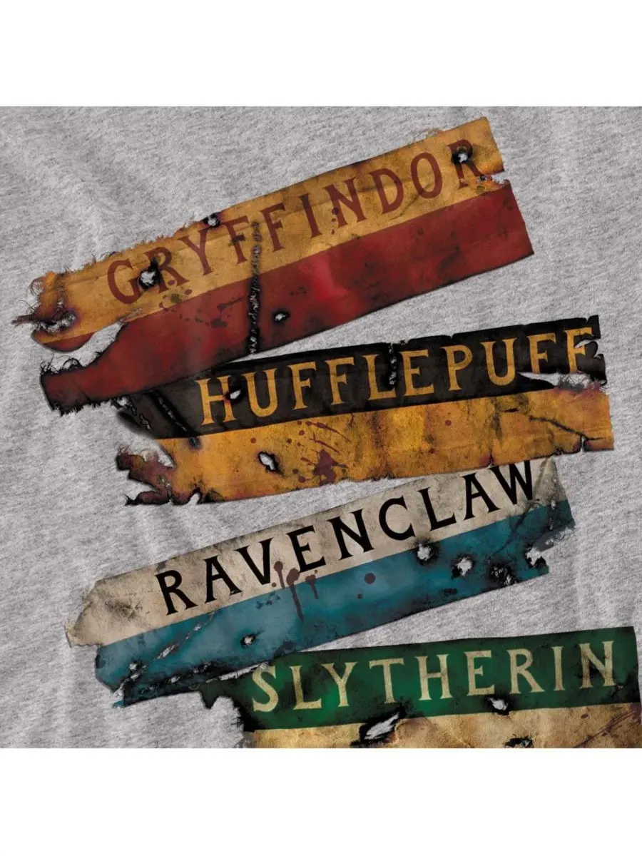 Мужская футболка Harry Potter Burnt Banners — изображение 2 из 3, приглушенный