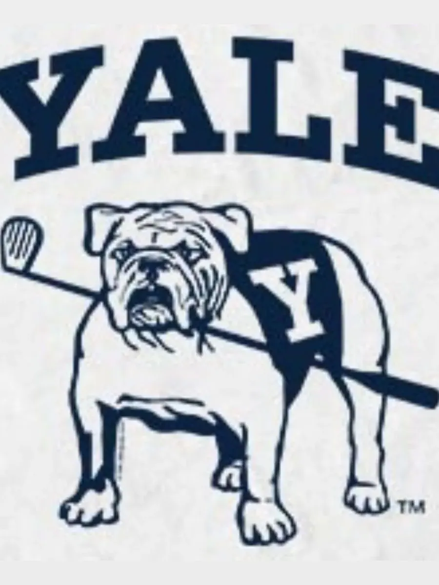 Футболка с графическим принтом Yale Bulldogs Mascot Fifth Sun — изображение 3 из 3, белый